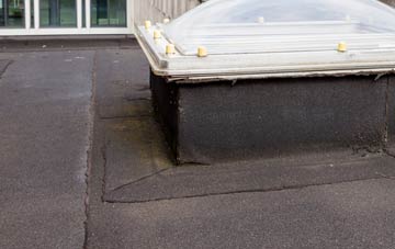 disadvantages of West Strathan flat roofs