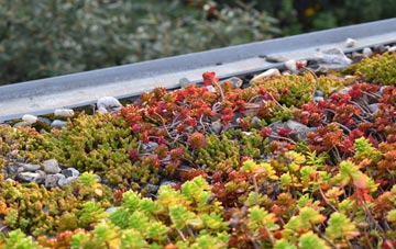 the cost of West Strathan green roof installation