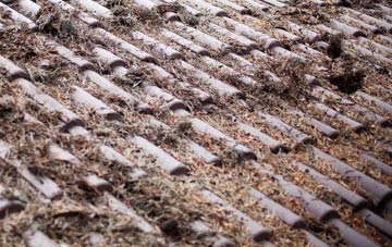 West Strathan roof cleaning companies