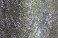 West Strathan fibreglass roof work